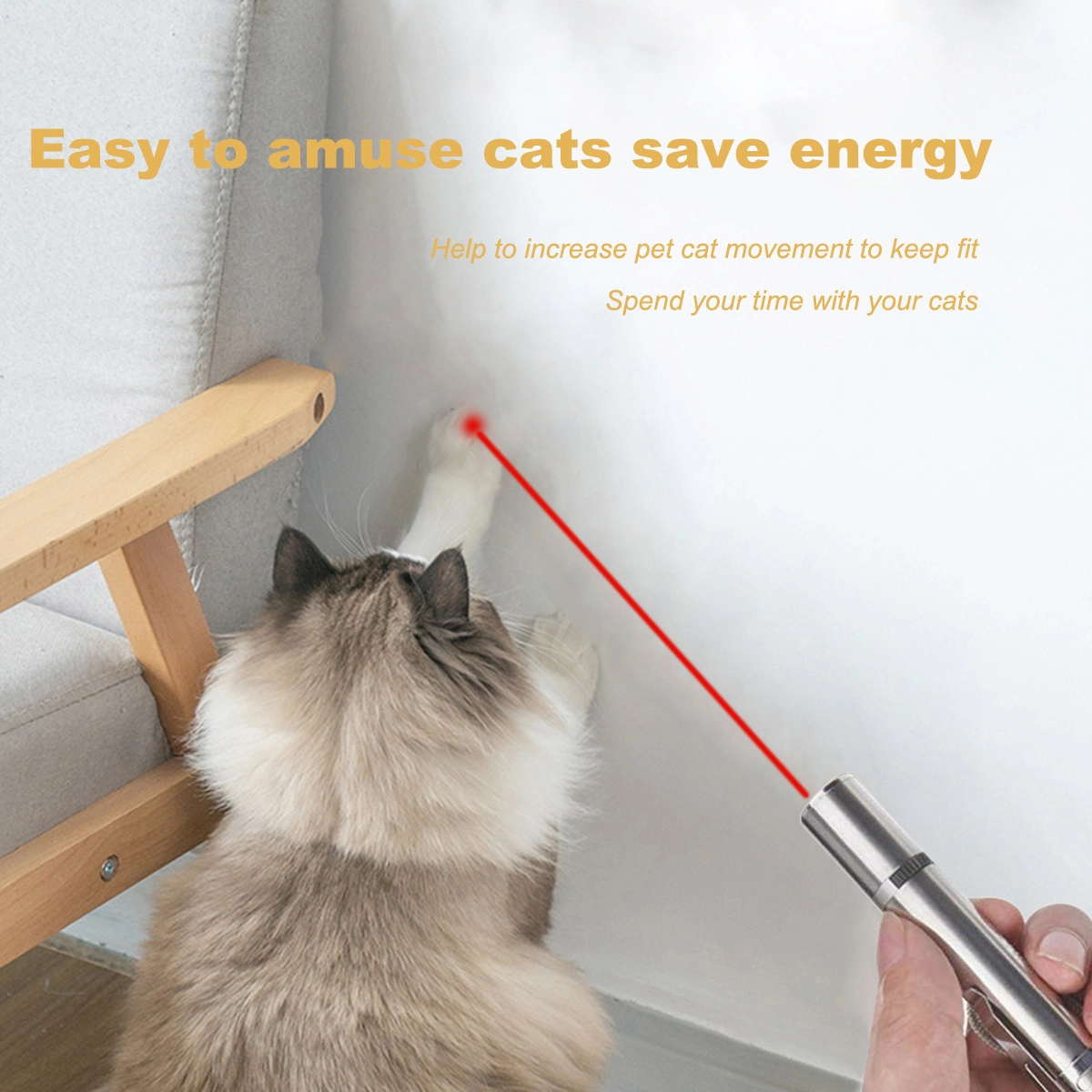 Cozy Whiskers Interactive Laser Chase Toy